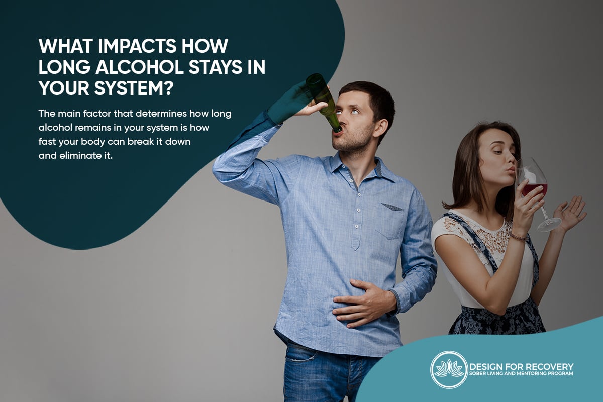 What Impacts How Long Alcohol Stays in Your System